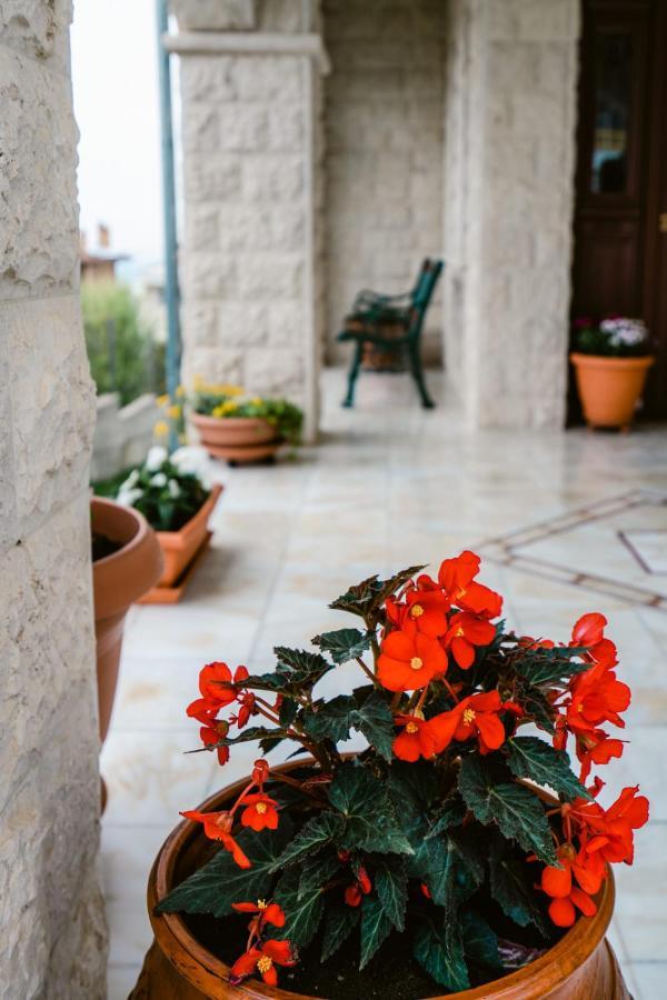 Veria Panorama Luxury Suite With Garden. Extérieur photo